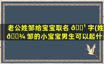 老公姓邹给宝宝取名 🌹 字(姓 🌾 邹的小宝宝男生可以起什么可爱的名字)